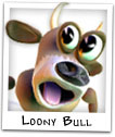 Loony Bull